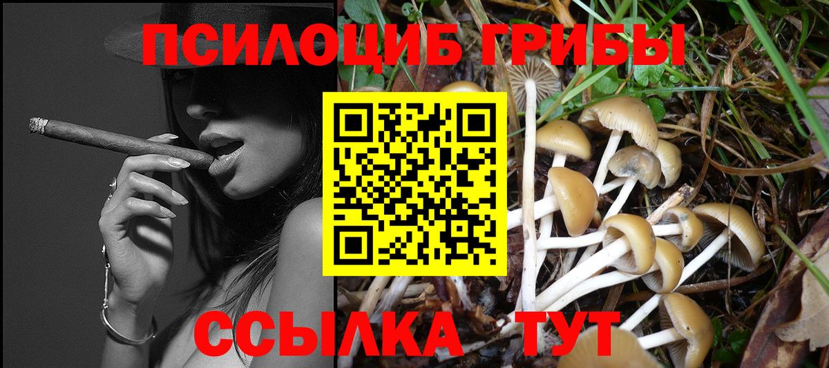 Псилоцибиновые грибы ЛСД  Вход с VPN  Тула 