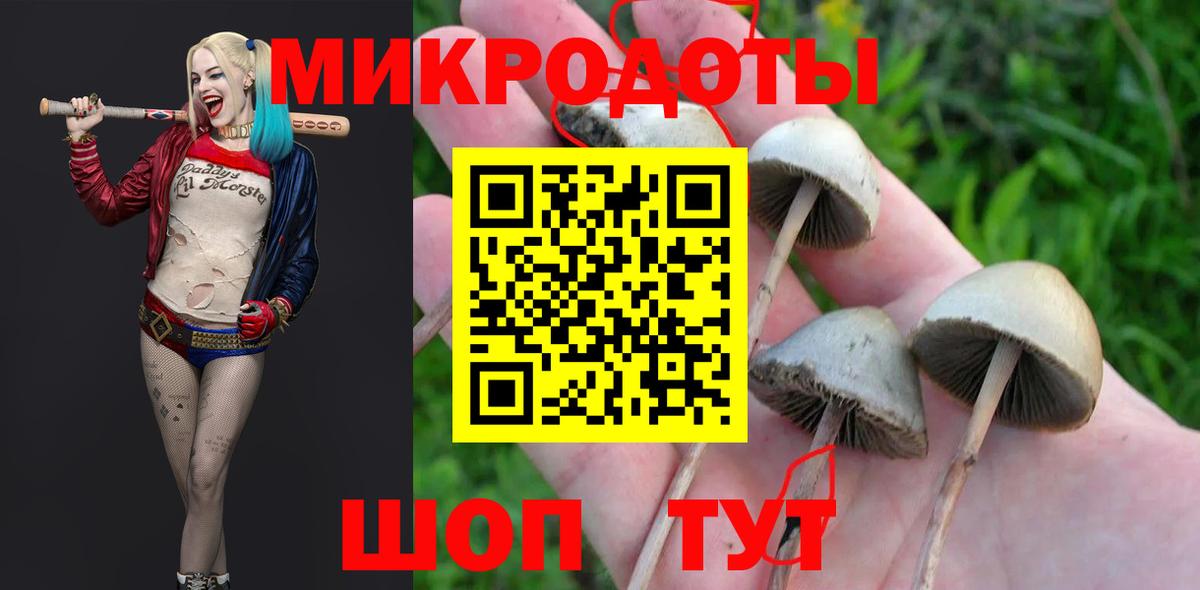 Галлюциногенные грибы мухоморы Тула